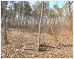  2023Ÿ��52699 ��� ������ ��ȱ� �̸� ��10-1      ����(�Ӿ�)���