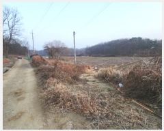  2023Ÿ85910  ȭ  ȣ 536      ()