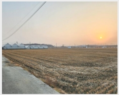  2023Ÿ85910  ȭ  ȣ 536      ()