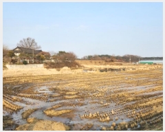  2023Ÿ85910  ȭ  ȣ 536      ()