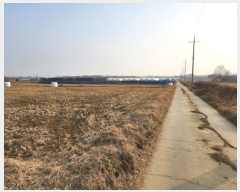  2023Ÿ85910  ȭ  ȣ 536      ()