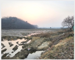  2023Ÿ85910  ȭ  ȣ 536      ()