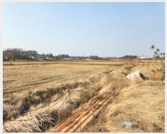  2023Ÿ85910  ȭ  ȣ 536      ()