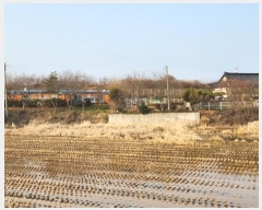  2023Ÿ85910  ȭ  ȣ 536      ()