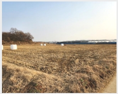  2023Ÿ85910  ȭ  ȣ 536      ()