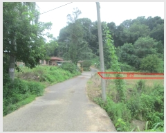  2023Ÿ��67110 ��� ȭ���� ������ ȭ�긮 58      ����(����)���