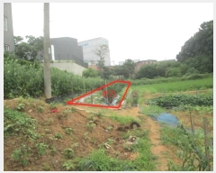  2023Ÿ��67110 ��� ȭ���� ������ ȭ�긮 58      ����(����)���