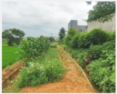  2023Ÿ��67110 ��� ȭ���� ������ ȭ�긮 58      ����(����)���