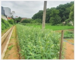  2023Ÿ��67110 ��� ȭ���� ������ ȭ�긮 58      ����(����)���