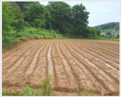  2023Ÿ��67110 ��� ȭ���� ������ ȭ�긮 58      ����(����)���