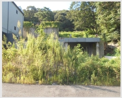  2023Ÿ��73023 ��� ���ν� ������ �ź��� 745      ����(�Ӿ�)���