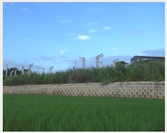  2023Ÿ��6986 ��� ȭ���� ���Ÿ� ��θ� 712      ����(����)���