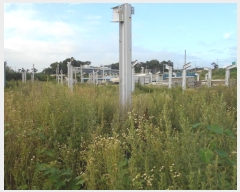  2023Ÿ��6986 ��� ȭ���� ���Ÿ� ��θ� 713-3      ����(��1)���