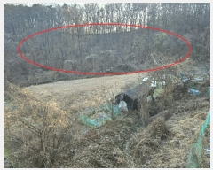  2023Ÿ��63609 ��� ���ֽ� ������ ��81-2       ����(�Ӿ�)���