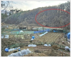  2023Ÿ��63609 ��� ���ֽ� ������ ��81-2       ����(�Ӿ�)���