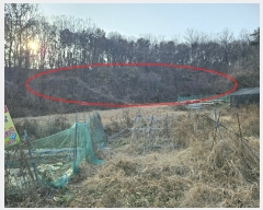  2023Ÿ��63609 ��� ���ֽ� ������ ��81-2       ����(�Ӿ�)���