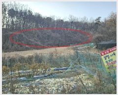  2023Ÿ��63609 ��� ���ֽ� ������ ��81-2       ����(�Ӿ�)���