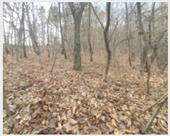  2023Ÿ��63609 ��� ���ֽ� ������ ��81-2       ����(�Ӿ�)���