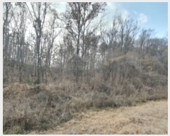  2023Ÿ��63609 ��� ���ֽ� ������ ��81-2       ����(�Ӿ�)���