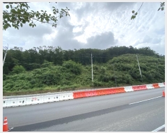  2023Ÿ��61788 ��� ������ �߿��� ���ൿ ��24-1      ����(�Ӿ�)���