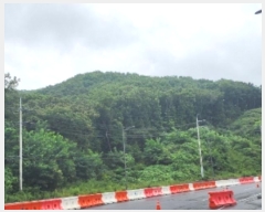  2023Ÿ��61788 ��� ������ �߿��� ���ൿ ��24-1      ����(�Ӿ�)���