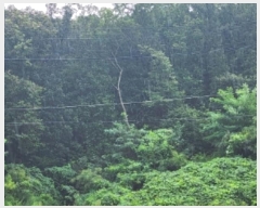  2023Ÿ��61788 ��� ������ �߿��� ���ൿ ��24-1      ����(�Ӿ�)���