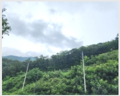  2023Ÿ��61788 ��� ������ �߿��� ���ൿ ��24-1      ����(�Ӿ�)���