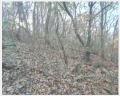  2023Ÿ��64886 ��� ���ֽ� �� 364-5       ����(����)���