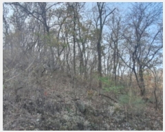  2023Ÿ��64886 ��� ���ֽ� �� 364-5       ����(����)���