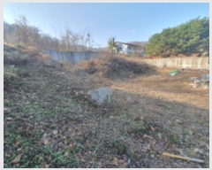  2023Ÿ��64886 ��� ���ֽ� �� 364-5       ����(����)���