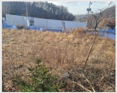  2023Ÿ��5542 ��� ������ �߿��� ������ 290-2      ����(����)���