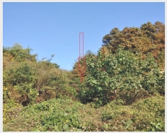  2023Ÿ��64220 ��� ���ֽ� �ʿ��� ������ ��13-23      ����(�Ӿ�)���