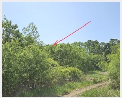  2023Ÿ��1956  �����