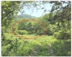  2023Ÿ��1956  �����