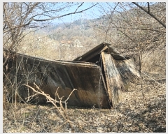  2023Ÿ��1956  �����