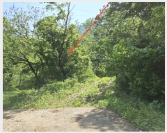  2023Ÿ��1956  �����