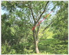  2023Ÿ��1956  �����