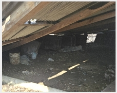  2023Ÿ��1956  �����