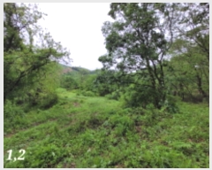  2023Ÿ��1956  �����