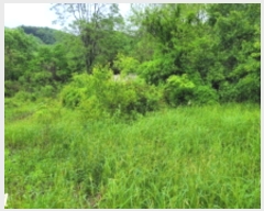  2023Ÿ��1956  �����