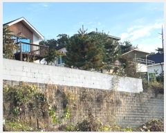  2023Ÿ��4634 ��� ���� �빮�� �ٹ��� 428-42      ����(�Ӿ�)���