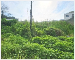  2023Ÿ35140  õ  357-3       (1)