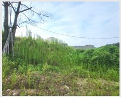  2023Ÿ35140  õ  357-3       (1)