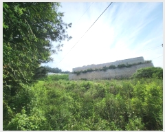  2023Ÿ35140  õ  357-3       (1)