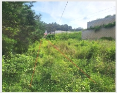  2023Ÿ35140  õ  357-3       (1)