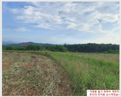  2023Ÿ35546  ֽ ϳ ų 14-8      (Ӿ)