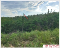  2023Ÿ35546  ֽ ϳ ų 14-8      (Ӿ)