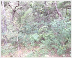  2023Ÿ35546  ֽ ϳ ų 14-8      (Ӿ)