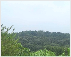  2023Ÿ35546  ֽ ϳ ų 14-8      (Ӿ)