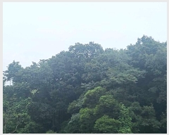  2023Ÿ35546  ֽ ϳ ų 14-8      (Ӿ)